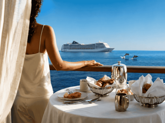 cruzeiro msc alto mar golfinhos